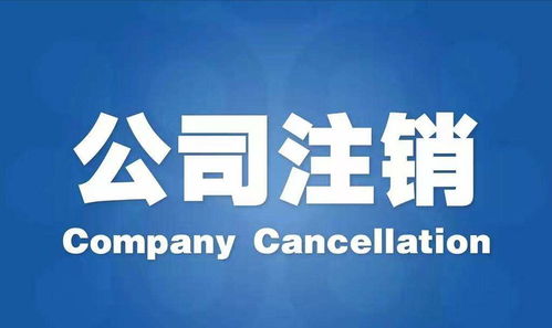 江蘇代理注冊公司信譽優(yōu)良，專注廣告設計服務
