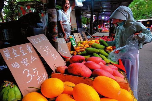 文明守護人間煙火氣——南寧地攤經濟下的日用百貨銷售觀察