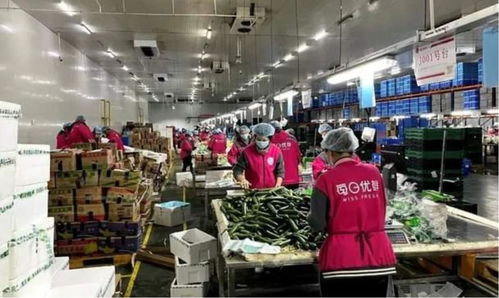 新零售十年沉浮錄 服裝行業的數字變革與未來探索